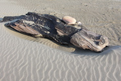 PICT6500.JPG