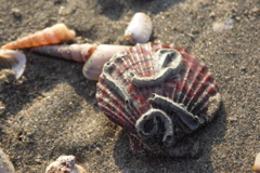 PICT6503.JPG