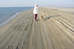 PICT6504.JPG