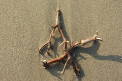PICT6505.JPG