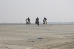 PICT6506.JPG