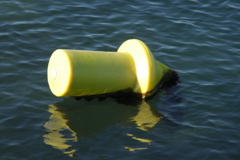 PICT6112.JPG