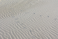 PICT6508.JPG