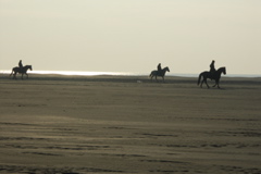 PICT6510.JPG