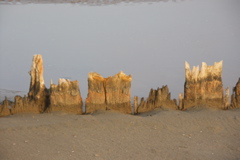 PICT6511.JPG