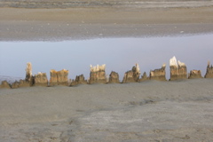 PICT6512.JPG