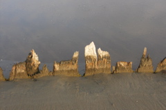 PICT6514.JPG