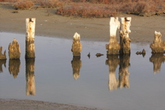 PICT6515.JPG