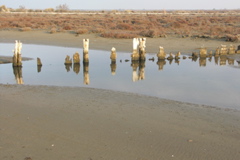 PICT6516.JPG