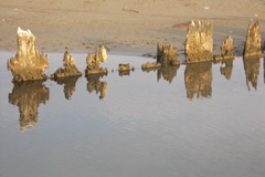 PICT6517.JPG