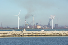 PICT6113.JPG