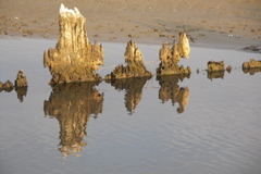 PICT6518.JPG