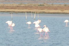 PICT6521.JPG