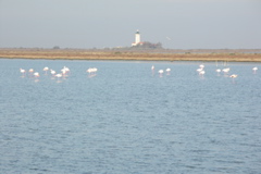 PICT6522.JPG
