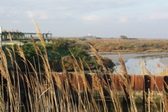 PICT6523.JPG