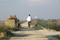 PICT6524.JPG