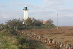 PICT6525.JPG