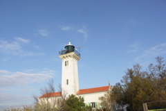 PICT6527.JPG