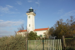 PICT6528.JPG
