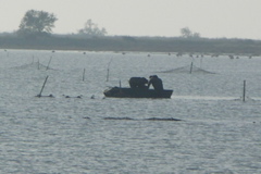 PICT6530.JPG