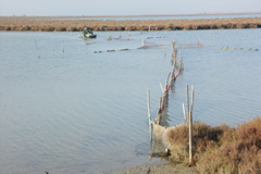 PICT6531.JPG