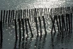 PICT6532.JPG