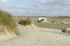 PICT6533.JPG