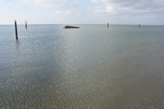 PICT6534.JPG