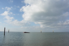 PICT6535.JPG