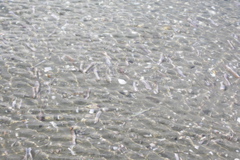 PICT6537.JPG