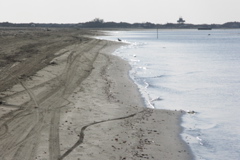 PICT6538.JPG