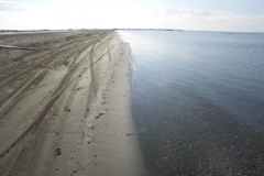 PICT6539.JPG