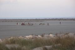 PICT6545.JPG