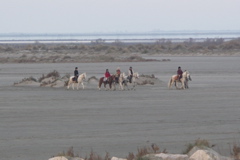 PICT6546.JPG