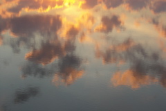 PICT6553.JPG