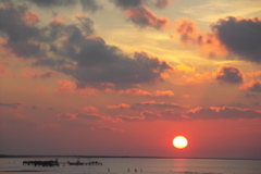 PICT6555.JPG