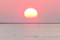 PICT6556.JPG