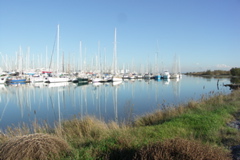 PICT6117.JPG