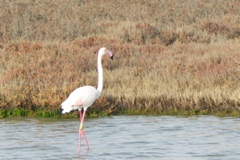PICT6564.JPG
