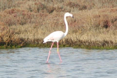 PICT6565.JPG