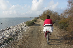 PICT6569.JPG