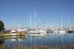 PICT6118.JPG