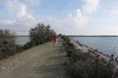 PICT6572.JPG