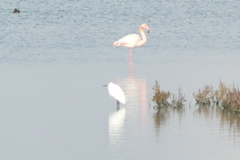 PICT6574.JPG
