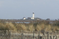 PICT6576.JPG