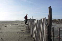 PICT6577.JPG