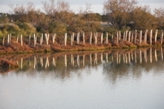 PICT6583.JPG