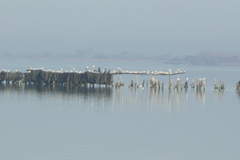PICT6587.JPG