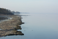 PICT6589.JPG