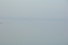 PICT6590.JPG